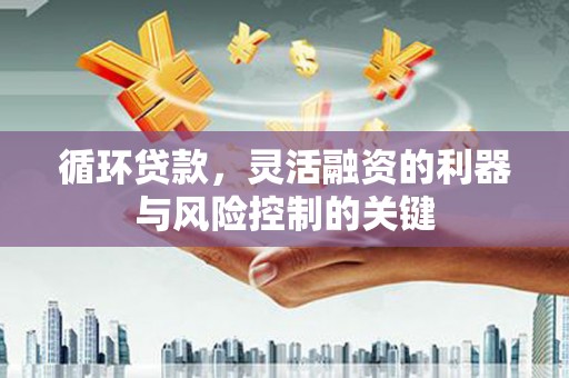 大溪循环贷款，灵活融资的利器与风险控制的关键