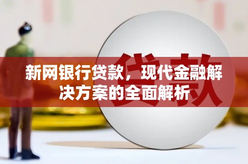 津南新网银行贷款，现代金融解决方案的全面解析