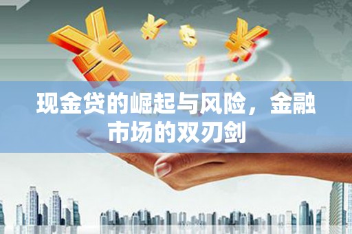 嘉荫现金贷的崛起与风险，金融市场的双刃剑