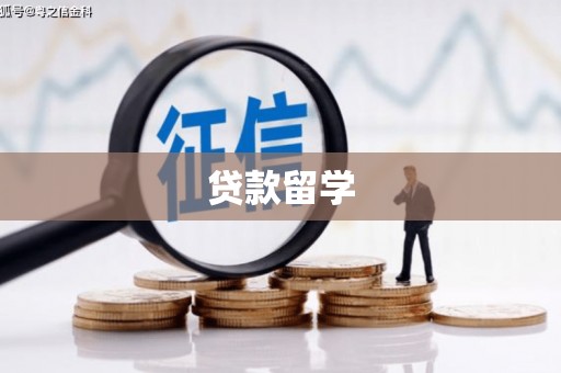 徽州贷款留学
