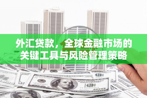 屏南外汇贷款，全球金融市场的关键工具与风险管理策略