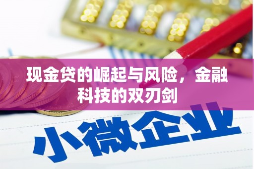武夷山现金贷的崛起与风险，金融科技的双刃剑