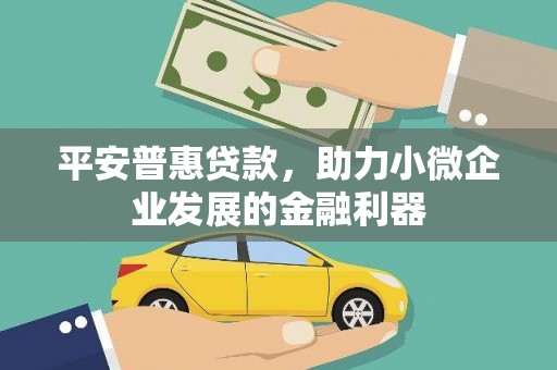 武汉平安普惠贷款，助力小微企业发展的金融利器