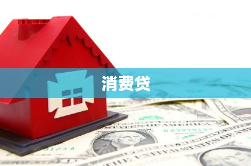 天镇消费贷