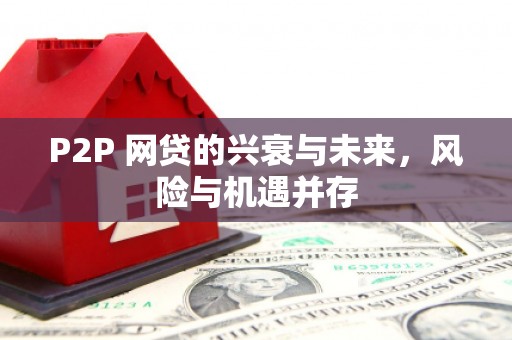 苗栗P2P 网贷的兴衰与未来，风险与机遇并存
