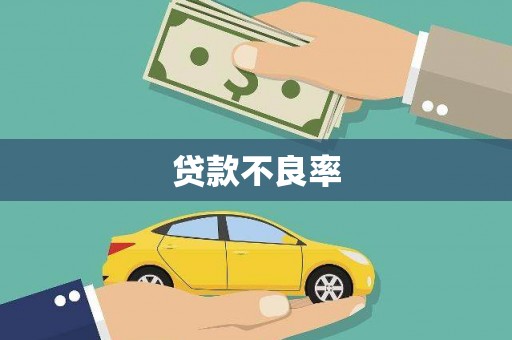 保亭贷款不良率