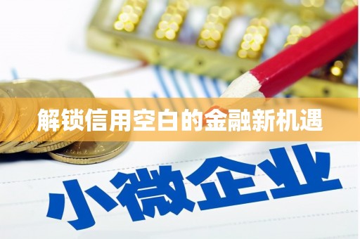岑巩解锁信用空白的金融新机遇