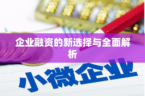 西岗企业融资的新选择与全面解析