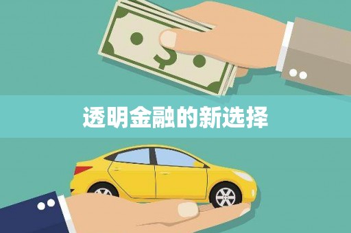 泸西透明金融的新选择